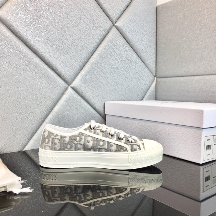 Dior Sneaker Gray Dior Oblique