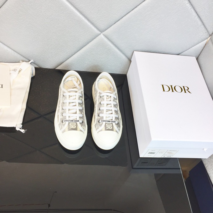 Dior Sneaker Gray Dior Oblique