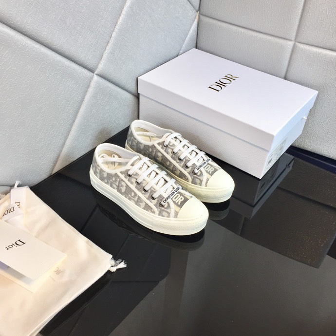 Dior Sneaker Gray Dior Oblique