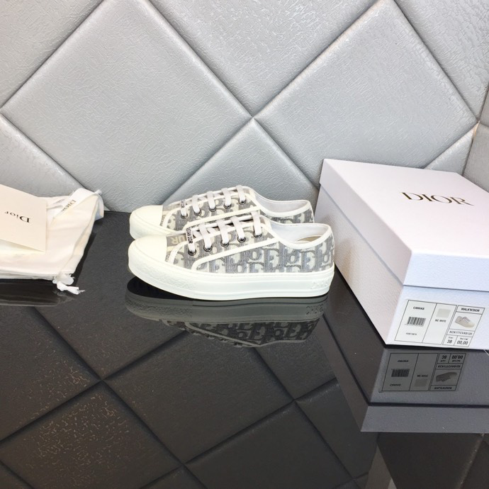 Dior Sneaker Gray Dior Oblique