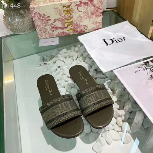Christian Dior Slides in Abuja
