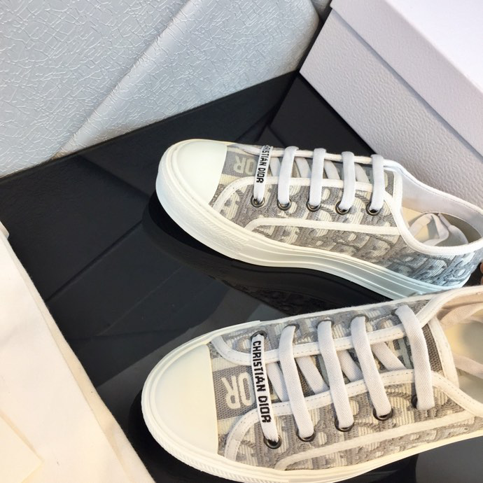 Dior Sneaker Gray Dior Oblique