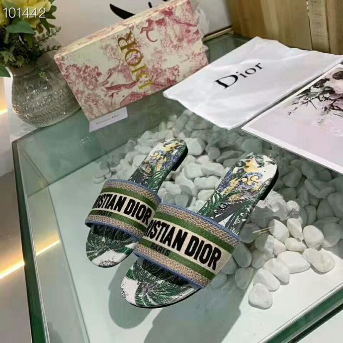 Dior Dway Embroidered Slides Mules Sandals Blue And Multicolor Zodiac