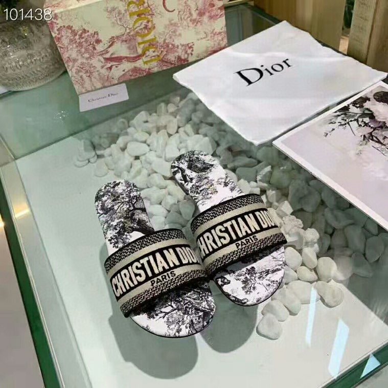 Dway Slide Cotton Embroidered with White and Black Paris Allover Motif | DIOR