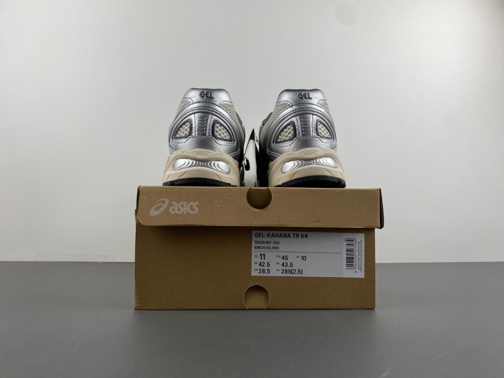 Asics Gel-Kahana TR V4 