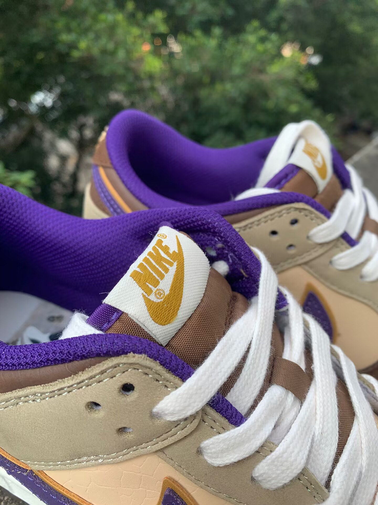 dunk demon brown dp5009-268