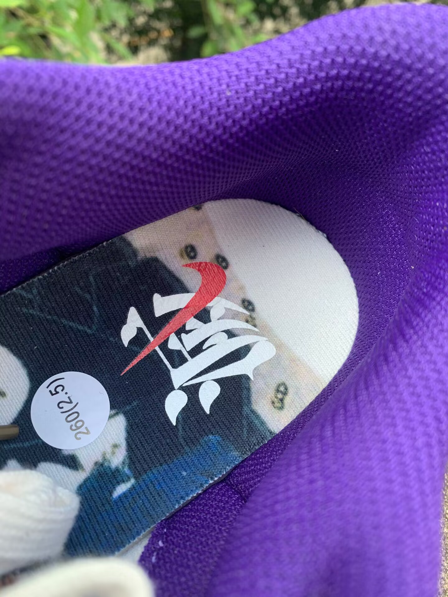 dunk demon brown dp5009-268