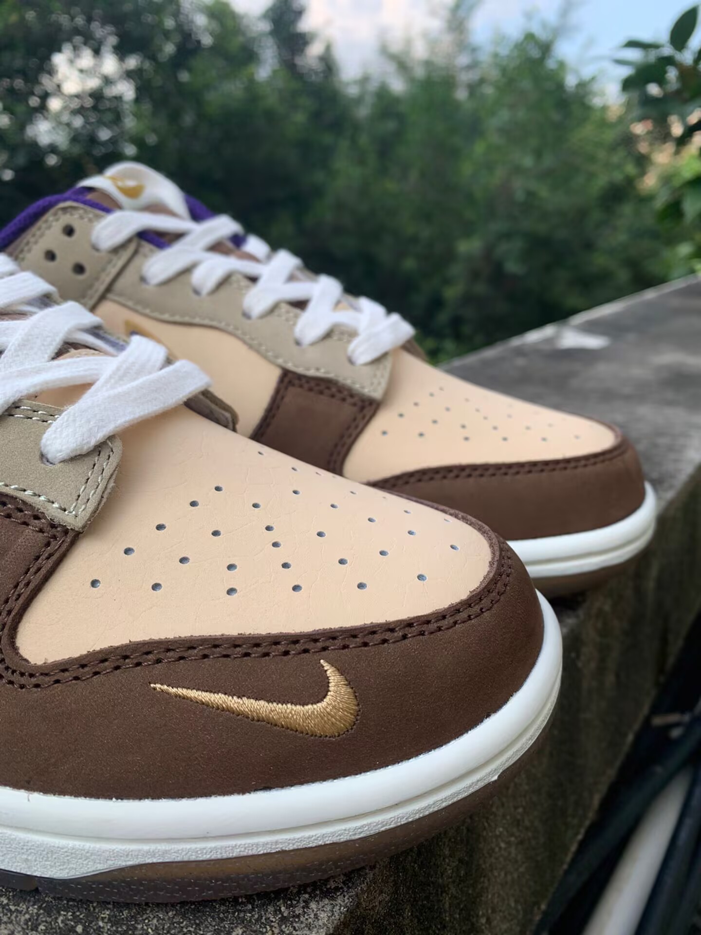 dunk demon brown dp5009-268