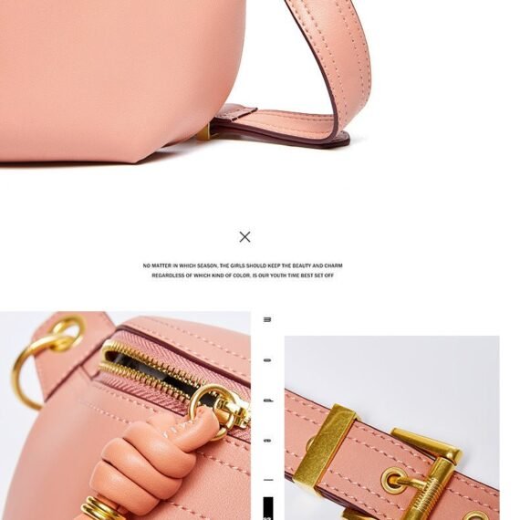 Ladies luxury handbag series Chest Bag