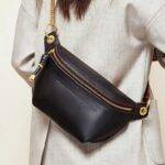 Ladies luxury handbag series Chest Bag