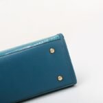 Ladies luxury handbag series