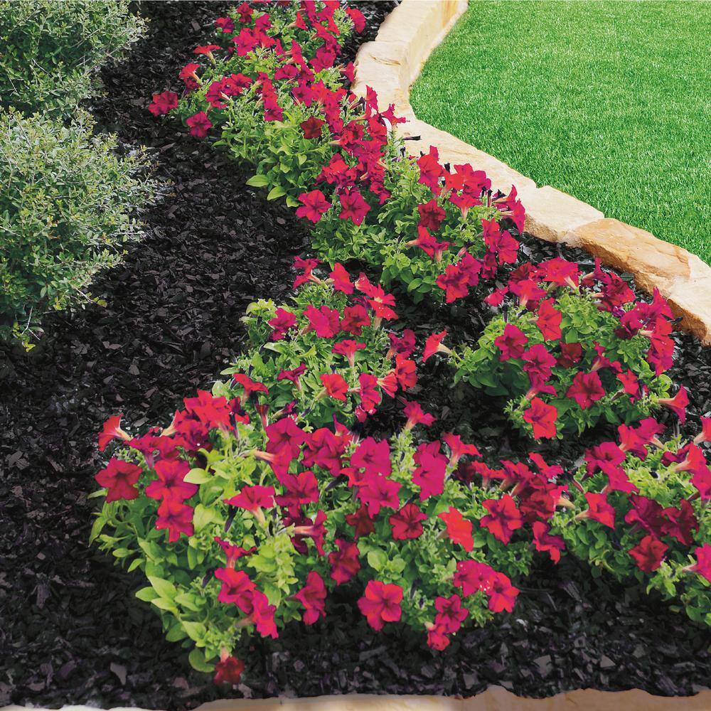 Vigoro 37.5 cu. ft. Black Recycled Rubber Mulch (25 Bags) GN15BK25