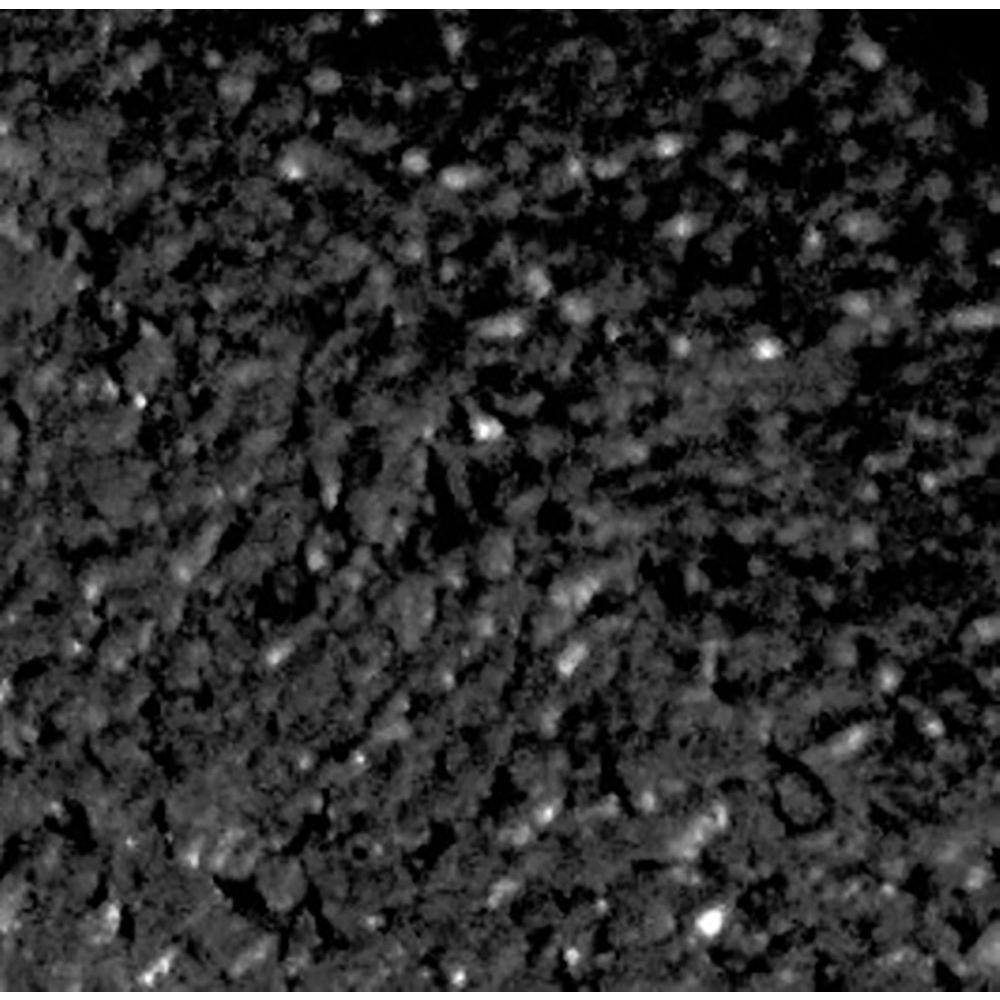 Vigoro EcoBorder 4 ft. Black Rubber Landscape Edging (6-Pack) ECOBRD BLK 6PK