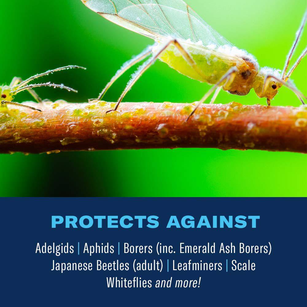 BIOADVANCED 1 Gal. Concentrate Tree and Shrub Protect with Feed Insect Killer 701915