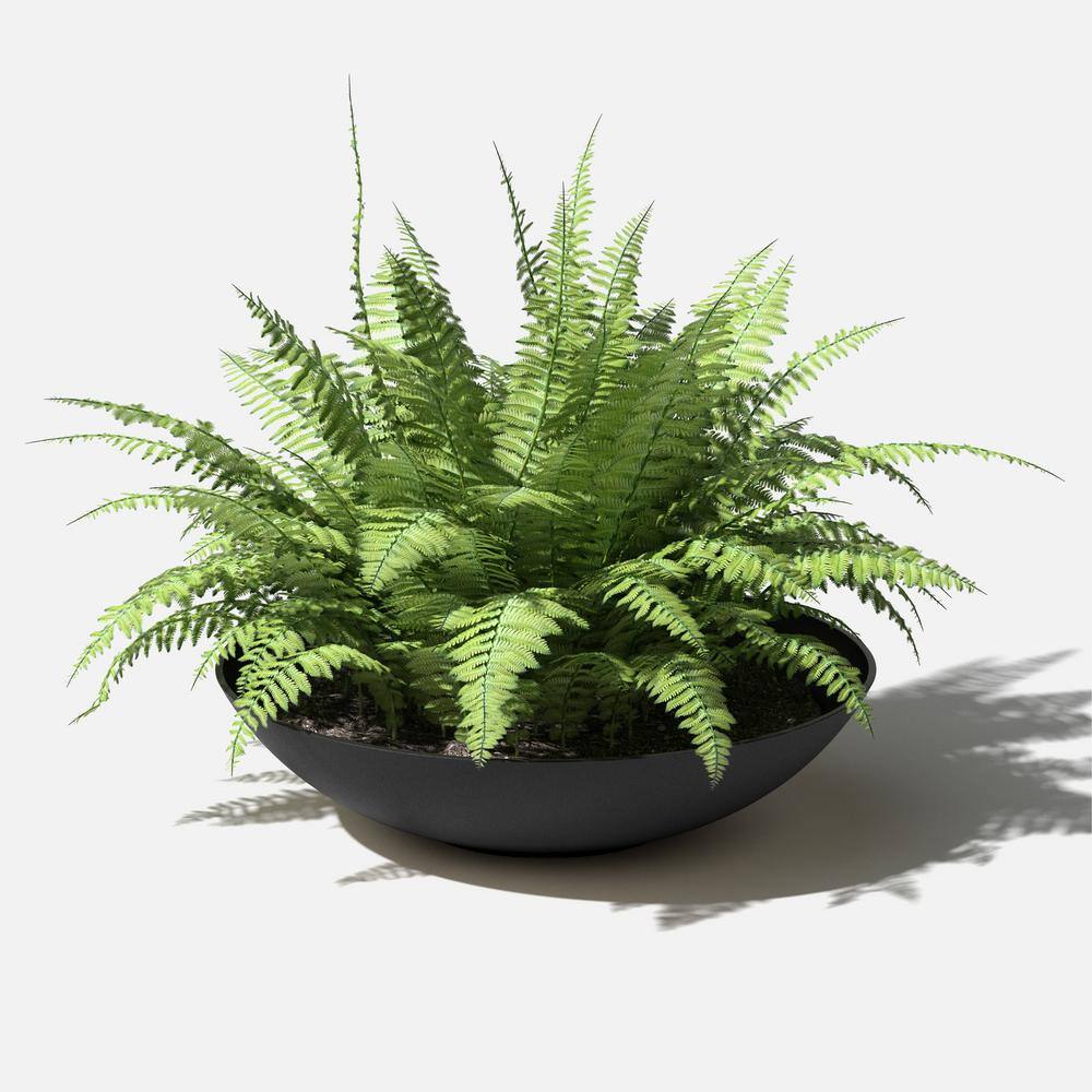 Veradek Lane Extra Large Black Plastic Round Bowl Planter with Drainage Holes (32 in. L x 32 in. W x 8 in. H) LBV32B