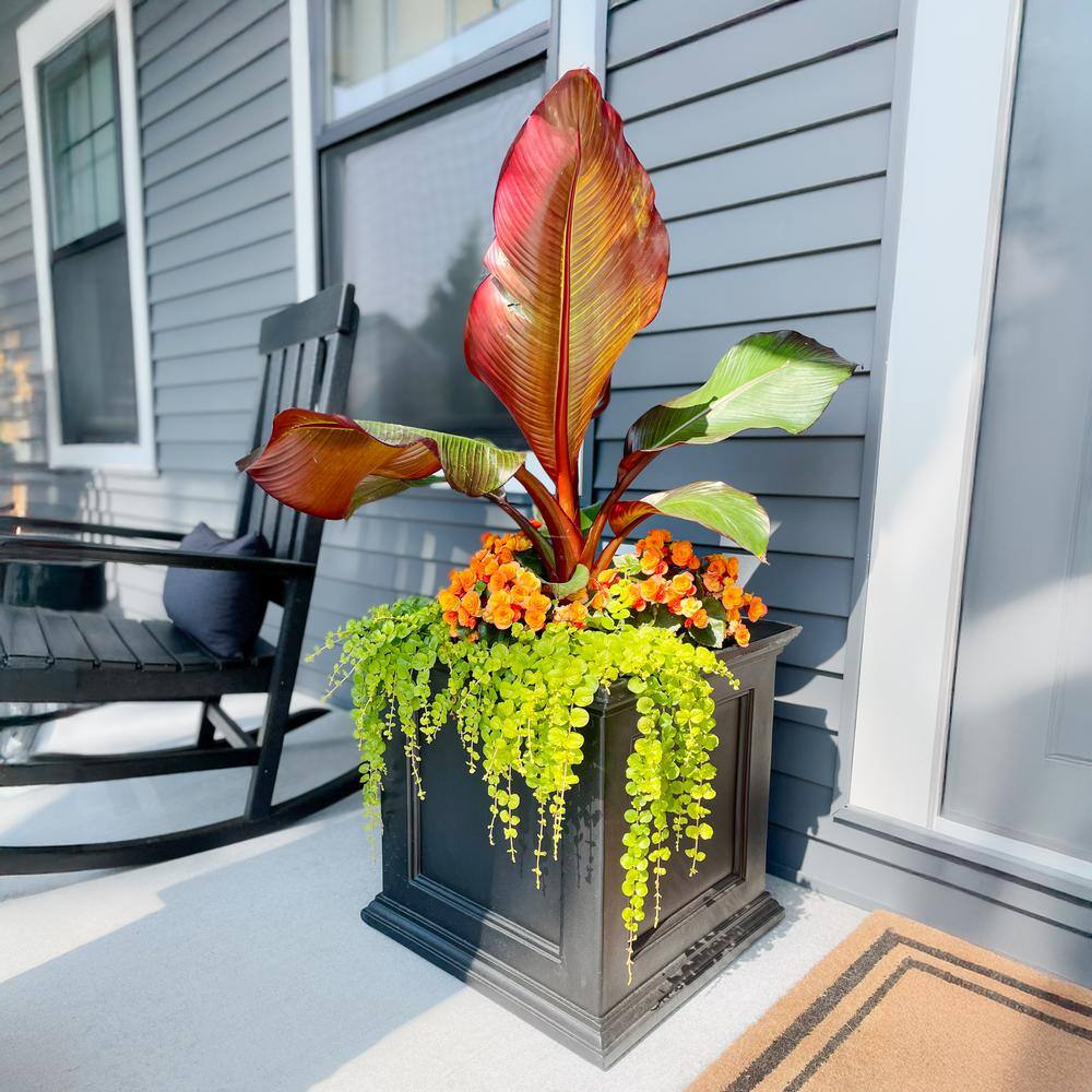 Mayne Fairfield 20 in. Square Self-Watering Black Polyethylene Planter 5825B