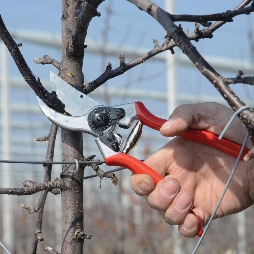 FELCO F2 8.4 in. High Performance Pruner with 1 in. Cut Capacity, Classic Model, The Original F2