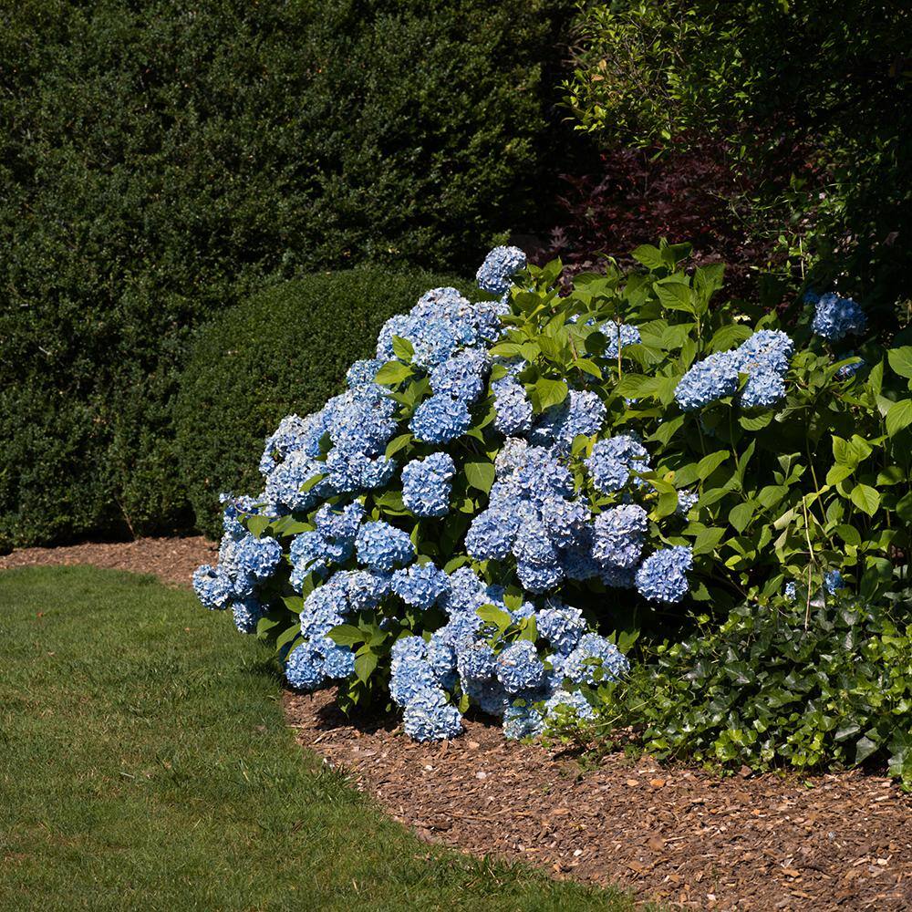 Vigoro 4 ft. x 200 ft. Heavy-Duty Grid Landscape Fabric VPNM420085