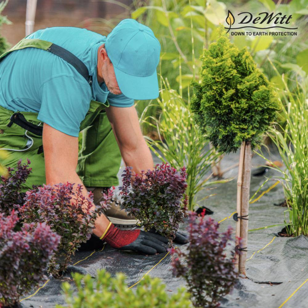 DeWitt P3 3 ft. x 250 ft. 5 oz. Pro 5 Commercial Landscape Weed Barrier Fabric (2-Pack) 2 x DWT-P3
