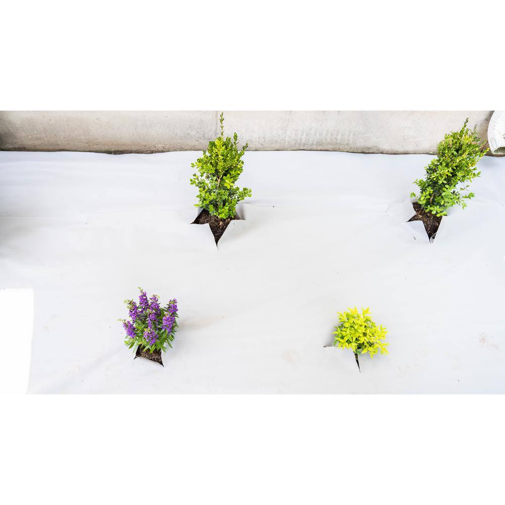 Vigoro 4 ft. x 200 ft. Heavy-Duty Grid Landscape Fabric VPNM420085