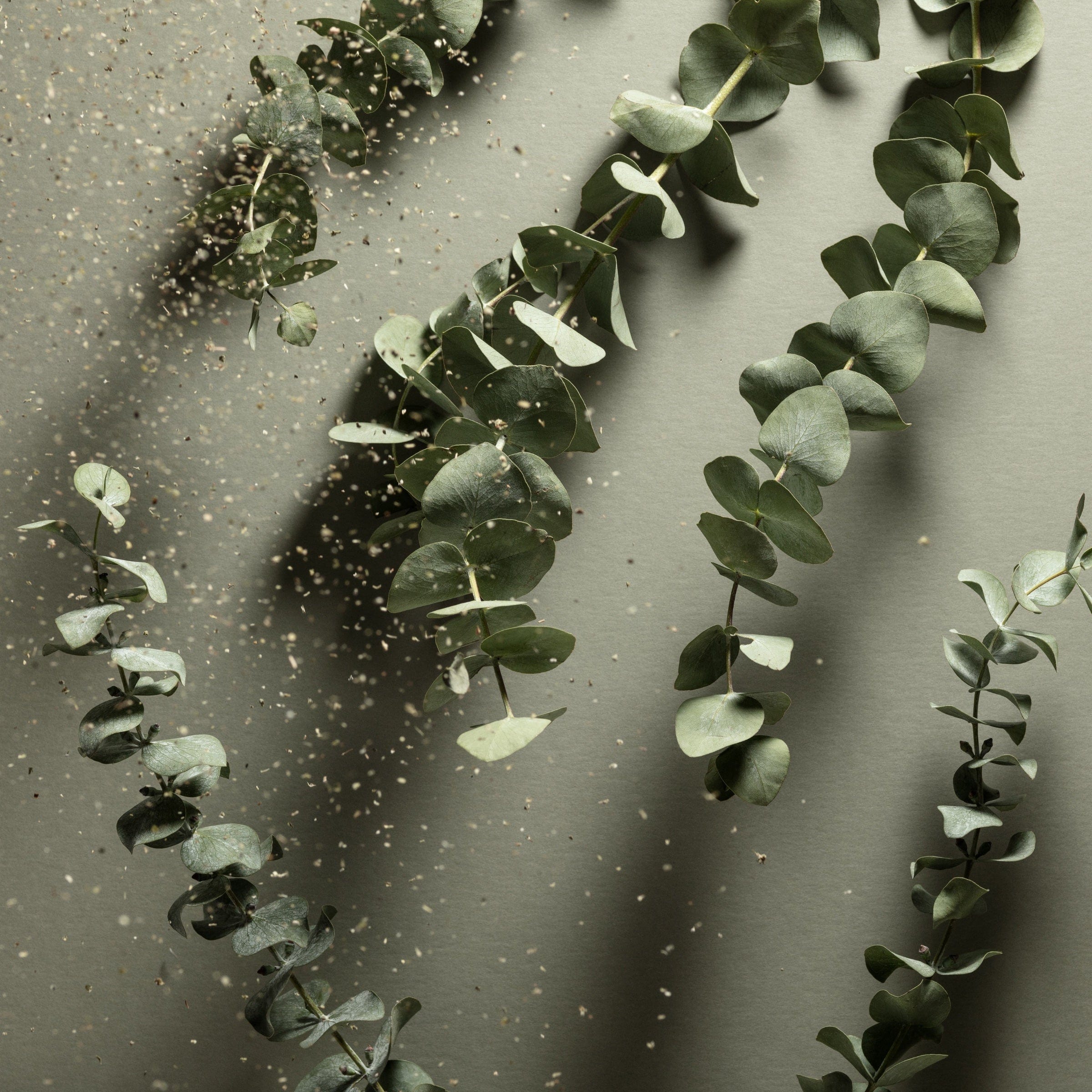 Eucalyptus Pocket Sanitizer