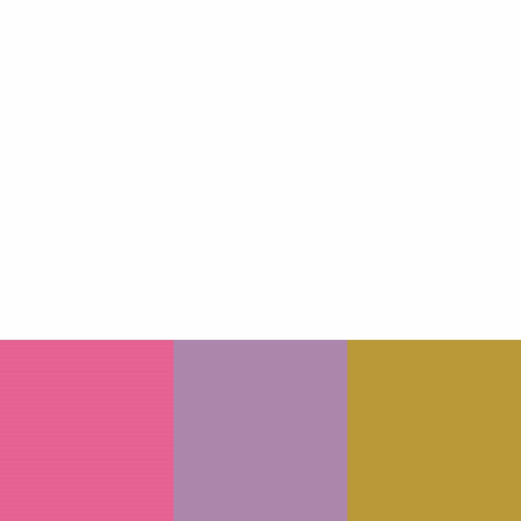 Clear Large Backpack