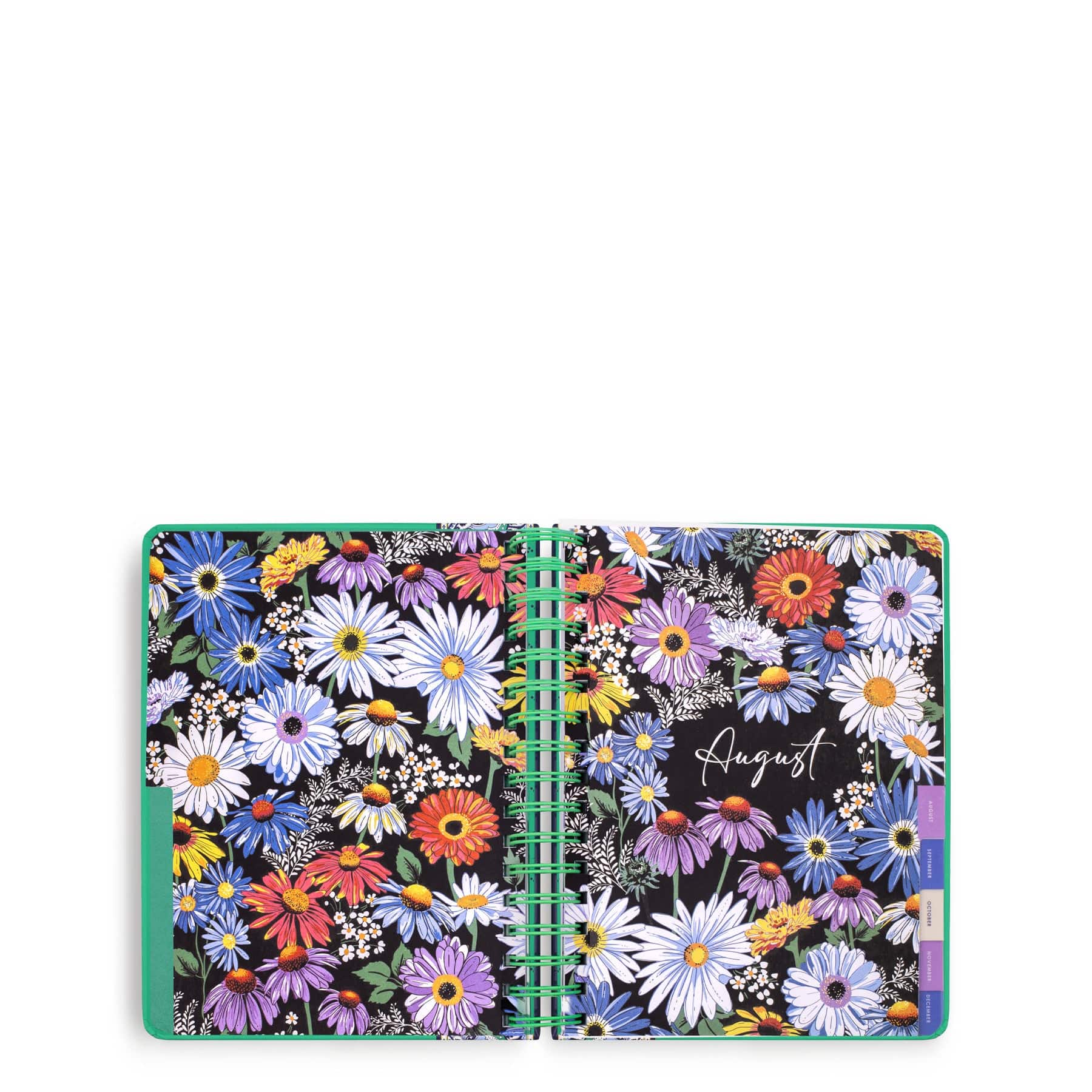 17 Month Large Planner