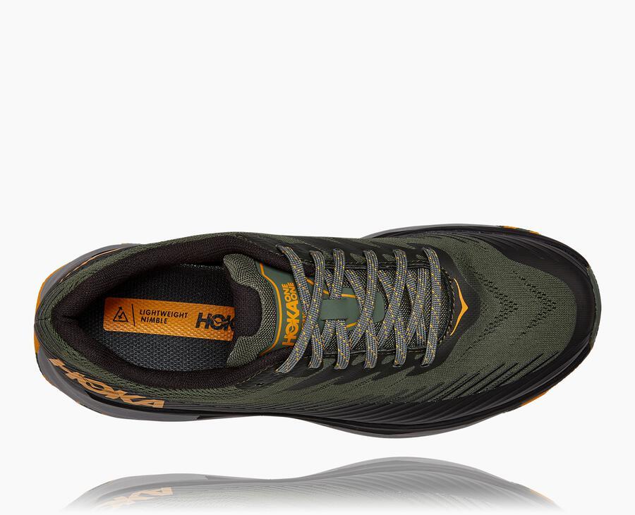 Men's Torrent 2