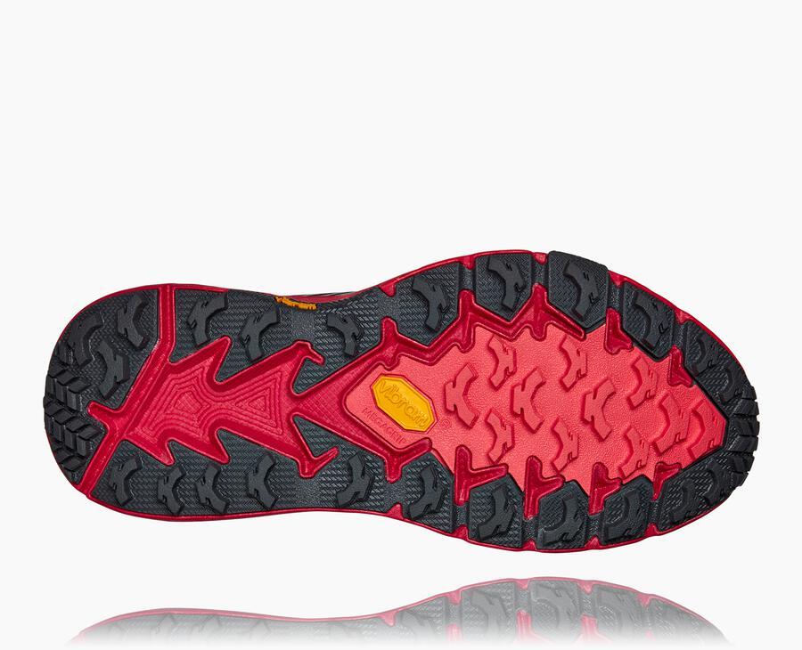 Women's Speedgoat 4