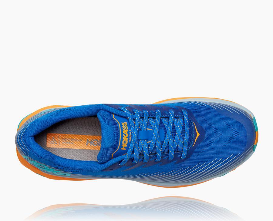 Men's Torrent 2