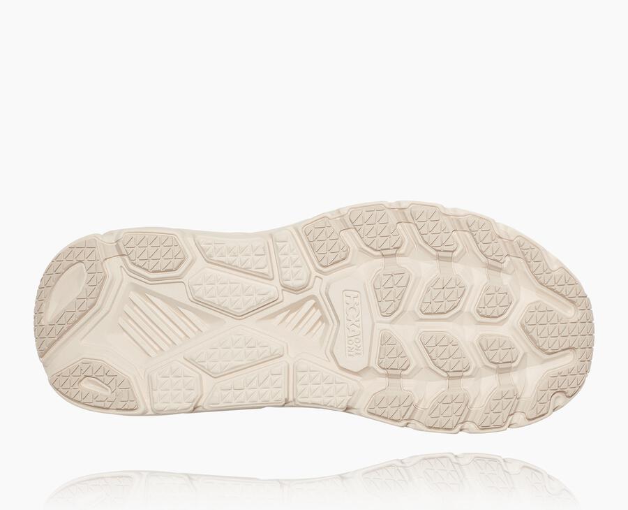 Women's Clifton 7