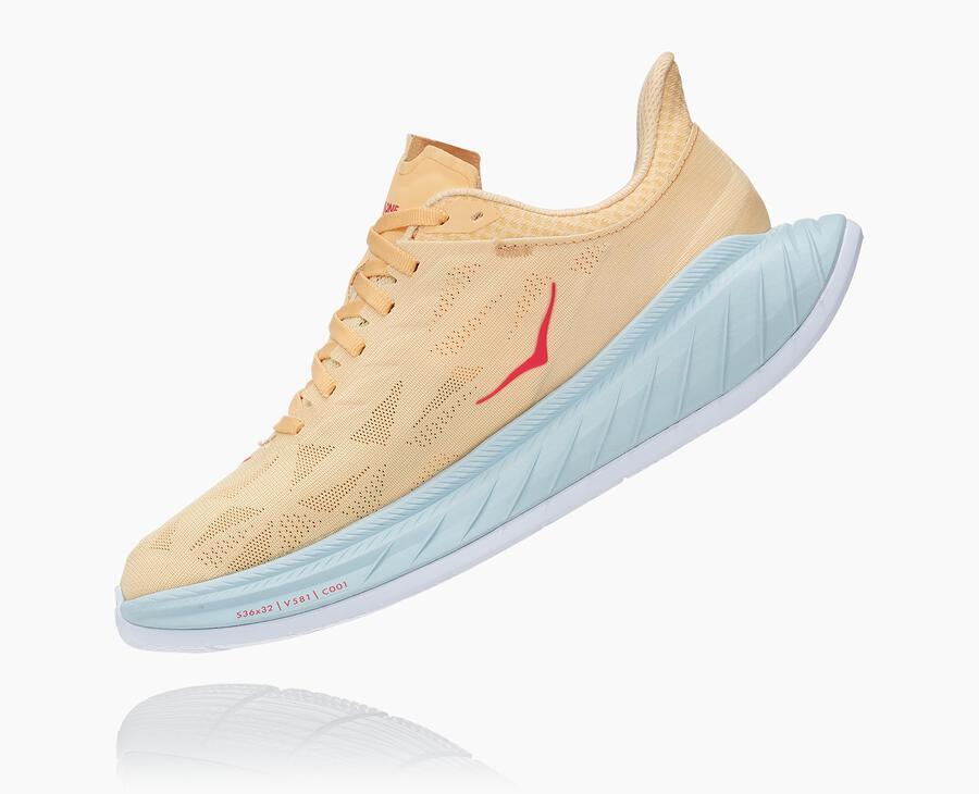 Women's Carbon X 2