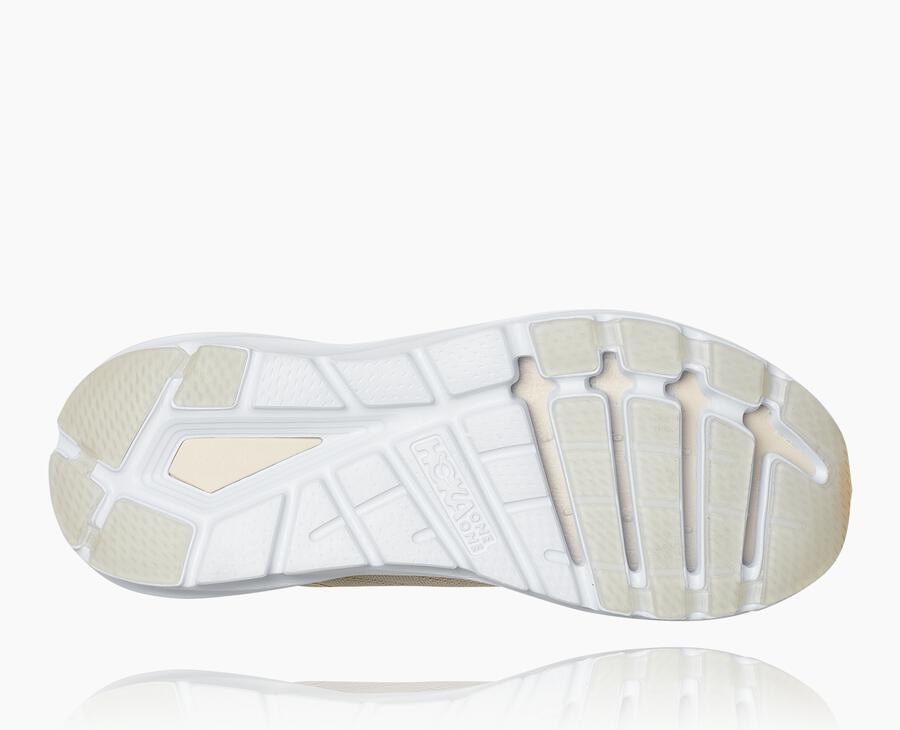 Men's Elevon 2