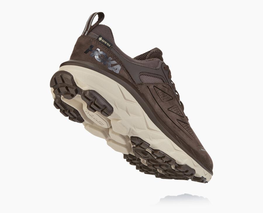 Men's Challenger Low GORE-TEX