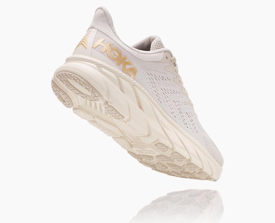 Women's Clifton 7