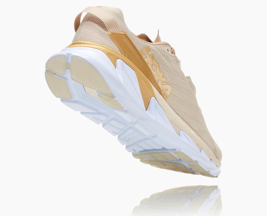 Men's Elevon 2
