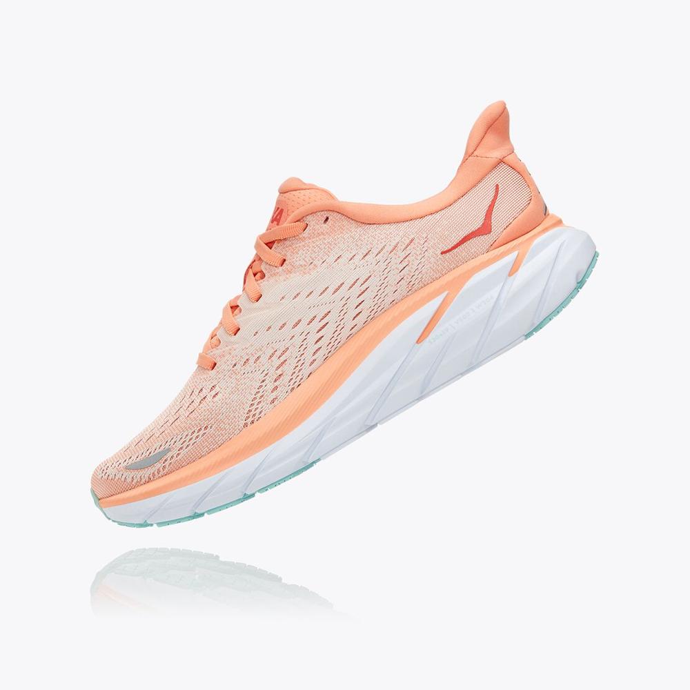Women's Clifton 8 - Cantaloupe / Silver Peony