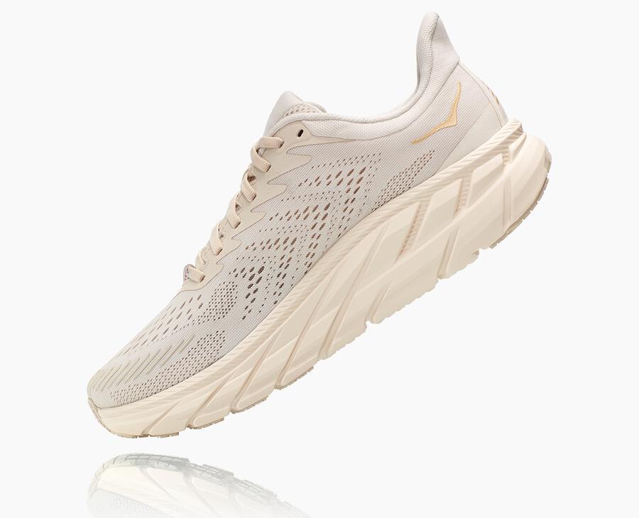 Men's Clifton 7