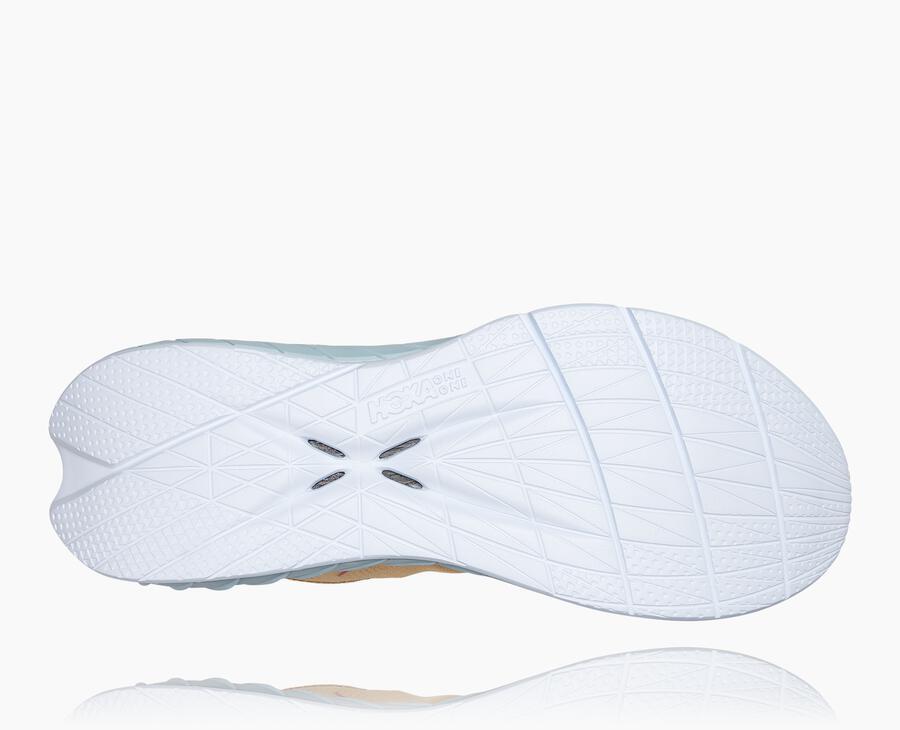 Women's Carbon X 2