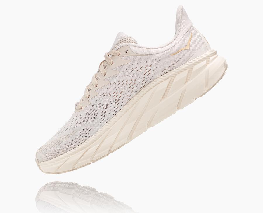 Women's Clifton 7