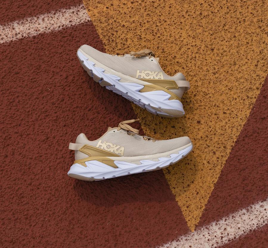 Men's Elevon 2