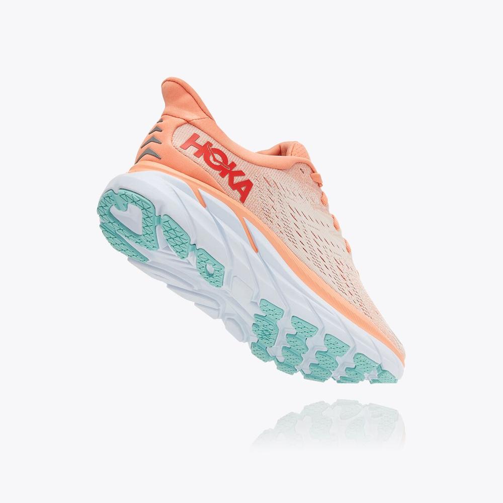 Women's Clifton 8 - Cantaloupe / Silver Peony