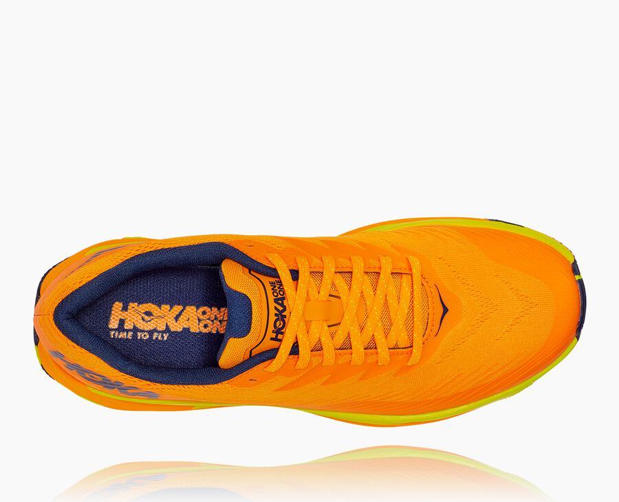 Men's Torrent 2