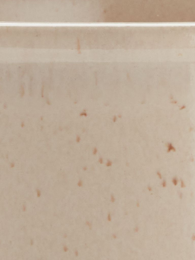 Plant pot ADAM D15xH17cm beige