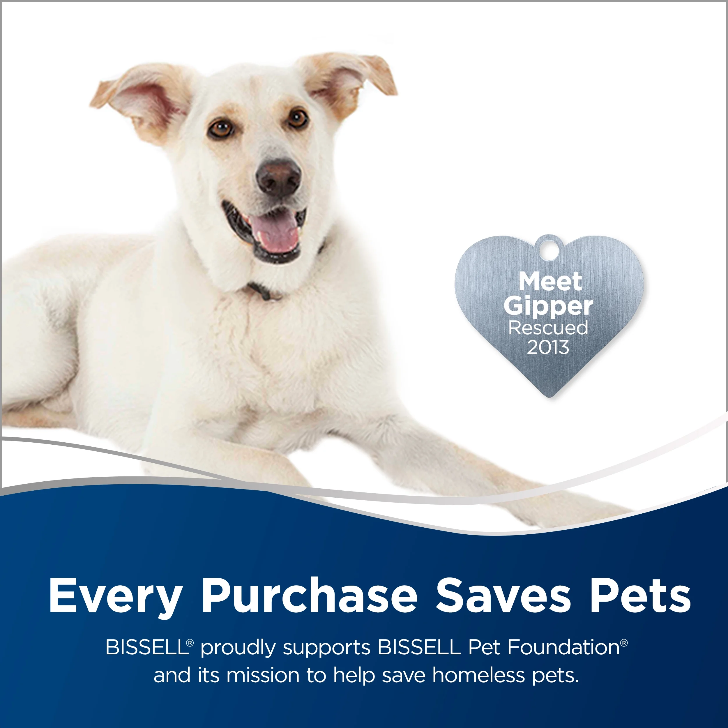 BISSELL 1986 ProHeat 2X Revolution Pet Pro FullSize Carpet Cleaner, Purple