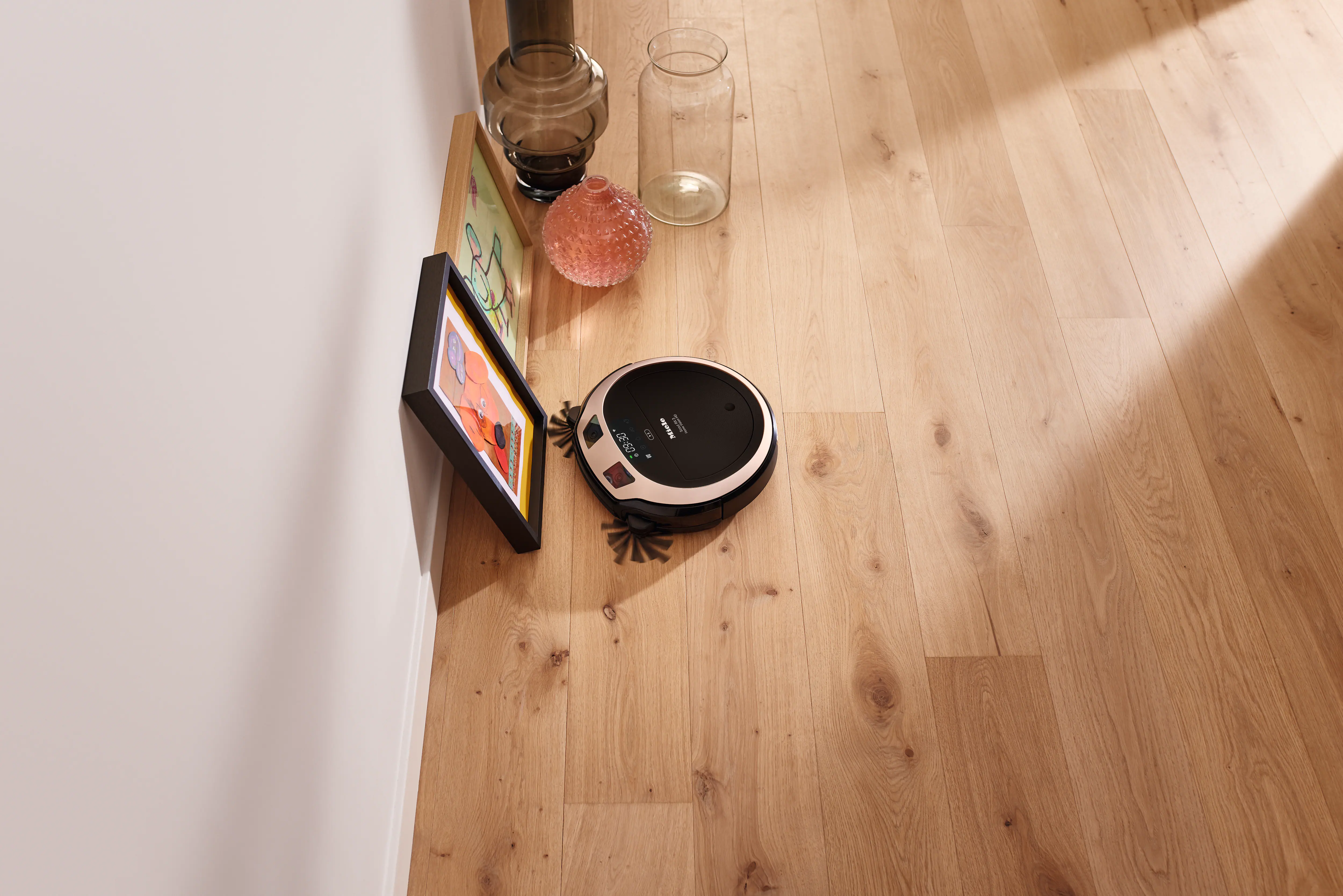 Scout RX3 Home Vision