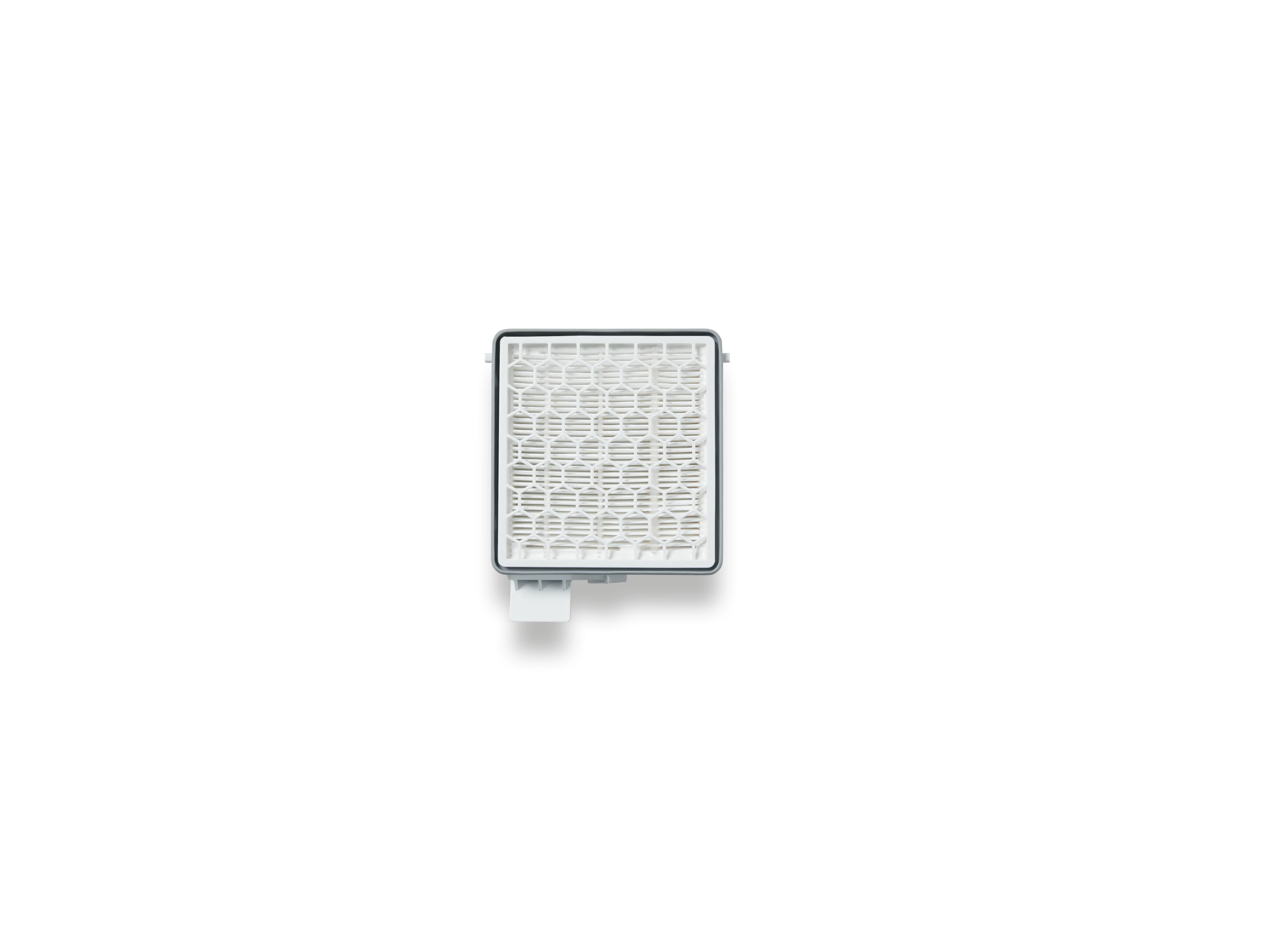 HEPA AirClean Filter with TimeStrip®