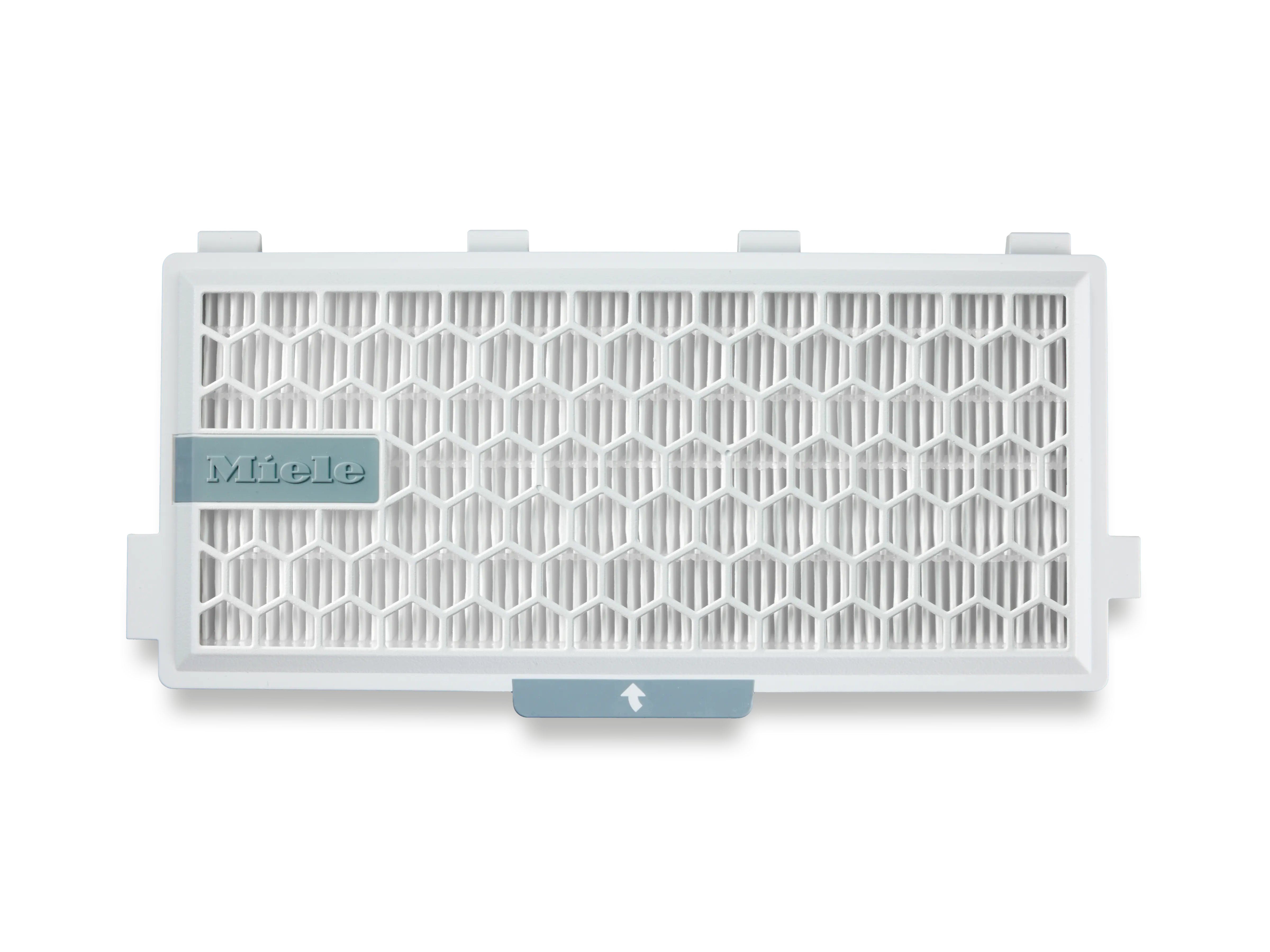 HEPA AirClean Filter with TimeStrip®