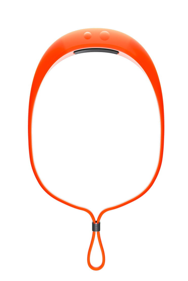 Knog Bandicoot 250 Headlamp