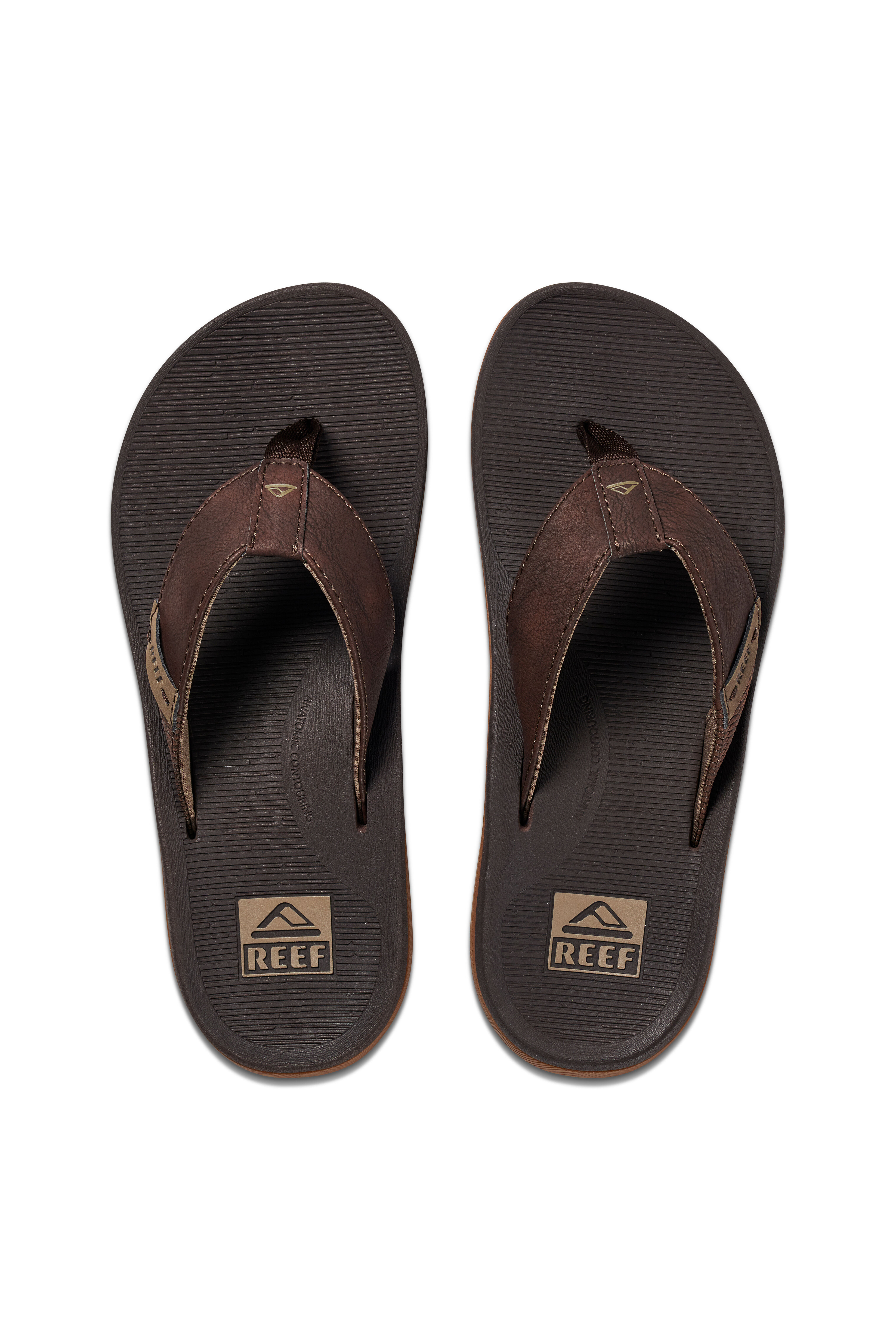 REEF® Santa Ana Men's Thongs